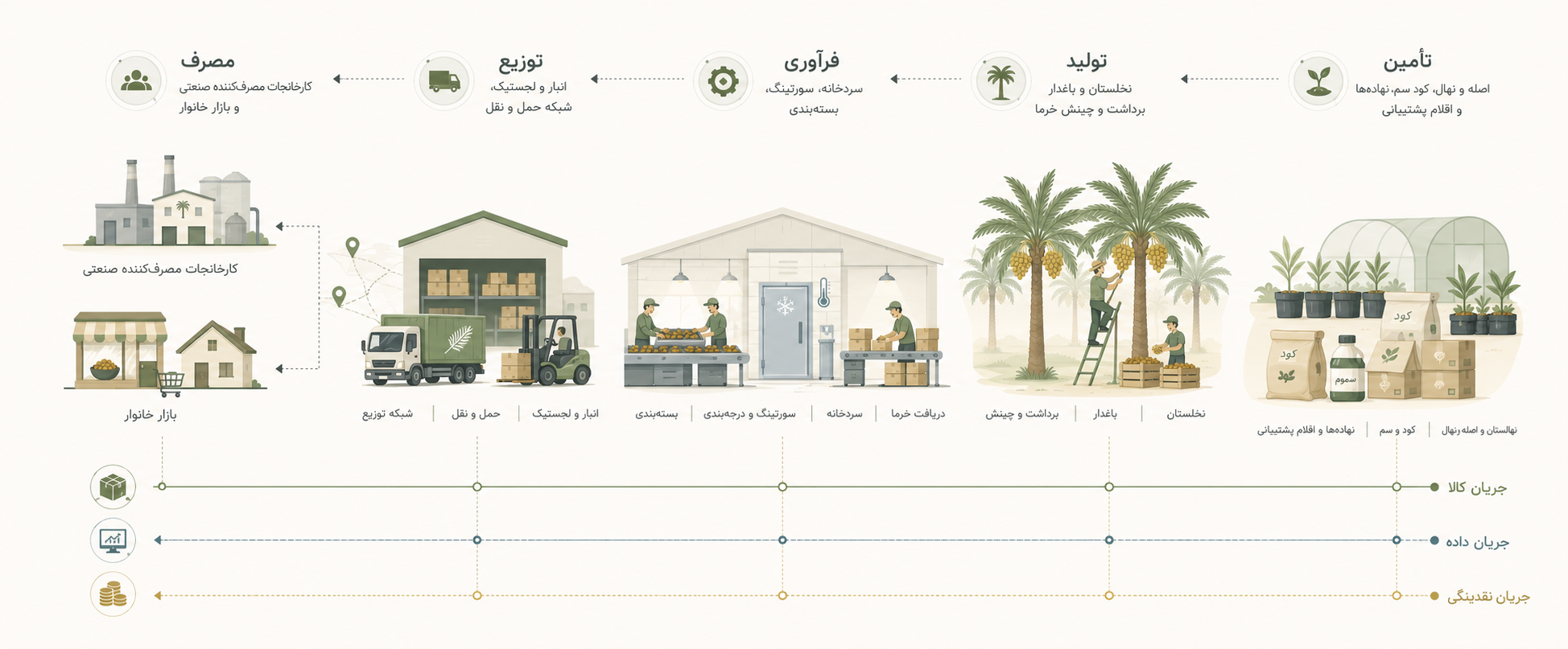 مسیر محصول از باغ تا بازار — نخلستانت